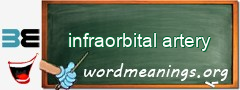 WordMeaning blackboard for infraorbital artery